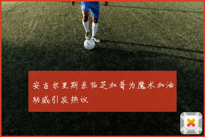 安吉尔里斯亲临芝加哥为魔术加油助威引发热议